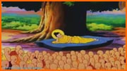 Buddha's Life Video