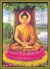 រូបថត : ព្រះពុទ្ធ